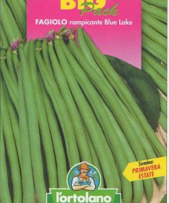 FAGIOLO RAMP BLUE LAKE BUSTA