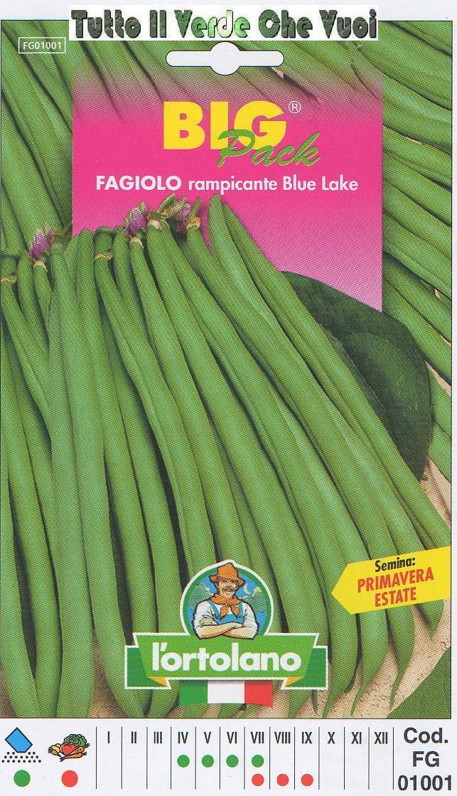 FAGIOLO RAMP BLUE LAKE BUSTA