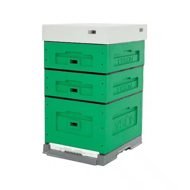 Arnia 10 favi cubo POLISTIRENE in KIT con doppio melario Dadant verniciata Green Lyson - immagine 2