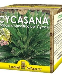 Cycasana – Concime specifico per Cycas