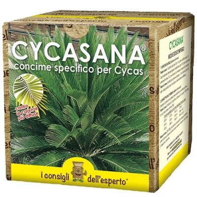 Cycasana – Concime specifico per Cycas
