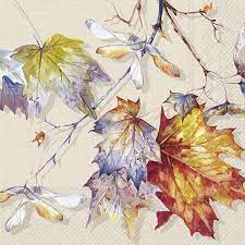 IHR Schonhuber Tovaglioli di Carta Autumn Branch Cream