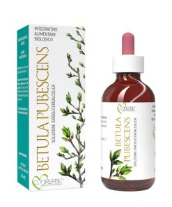 Betulla pubescente gemme 100 ml Gemmoderivato biologico