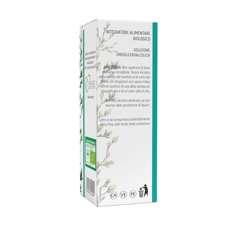 Platano gemme 100 ml Gemmoderivato biologico - immagine 3