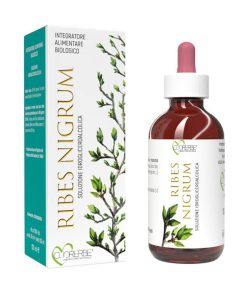 Ribes Nero Gemme 100 ml Gemmoderivato biologico