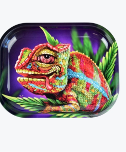 Mistiera in metallo Chameleon 18x14cm con coprivassoio