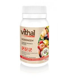 VITHAL BIO DOMINEEM CONCIME ORGANICO