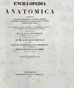Enciclopedia anatomica