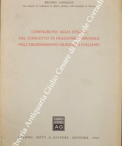 Contributo allo studio del concetto di frazione comunale